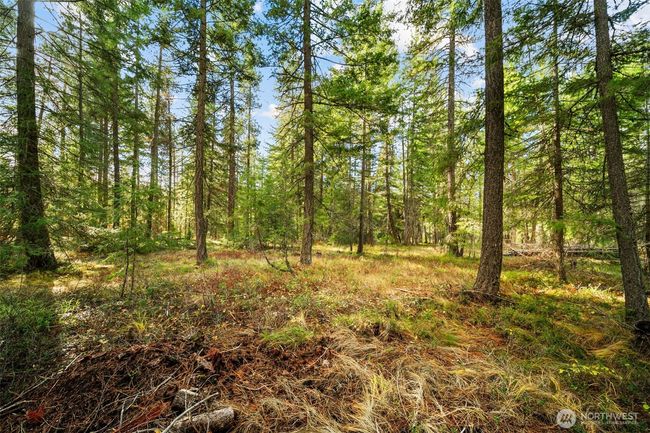 0 S Shugart Flats Rd, Home with 0 bedrooms, 0 bathrooms and null parking in Leavenworth WA | Image 23