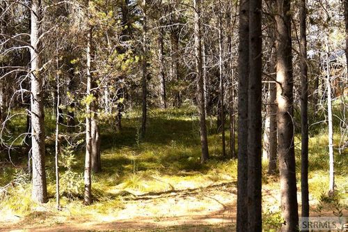 4007 Cougar Dr, Island Park, ID, 83429-5085 | Card Image