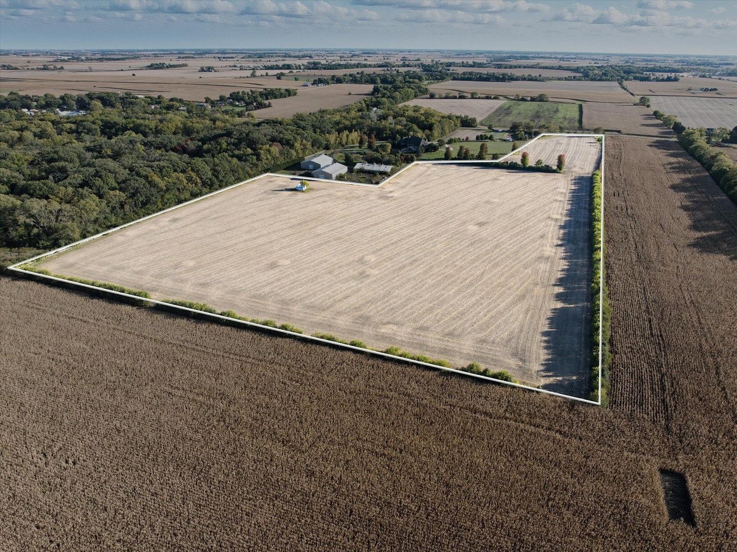 Farm in Manhattan 2