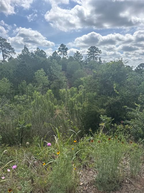 Lot 798 Tahitian Dr, Bastrop, TX, 78602 | Card Image