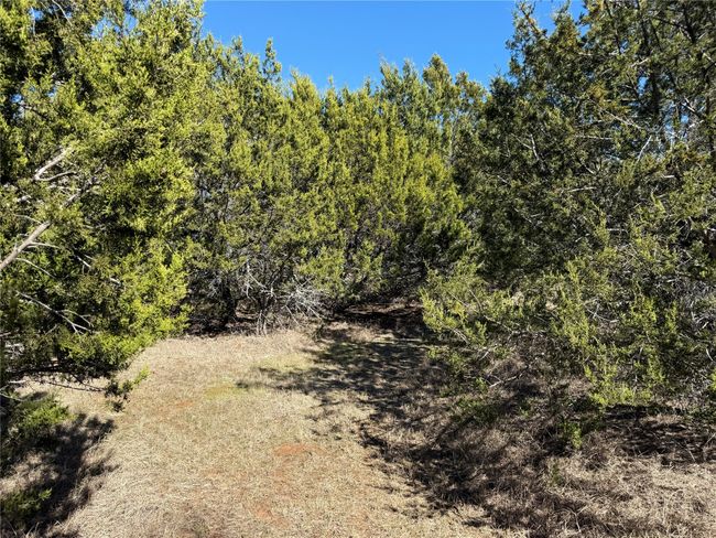 350 Private Road 1407, House other with 1 bedrooms, 2 bathrooms and null parking in Morgan TX | Image 17