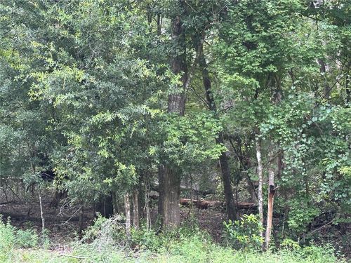 TBD Sw Reno Way, Fort White, FL, 32038 | Card Image