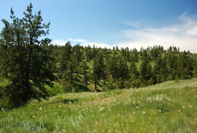 SC-25 - TBD Lone Rock Canyon Lane, Home with 0 bedrooms, 0 bathrooms and null parking in Hysham MT | Image 34