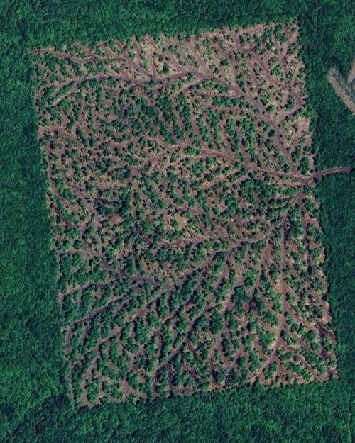 . Sharrett Rd, Ellenburg Center, NY, 12934 | Card Image