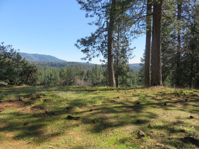 4196 Bald Mountain Rd, Home with 0 bedrooms, 0 bathrooms and null parking in West Point CA | Image 33