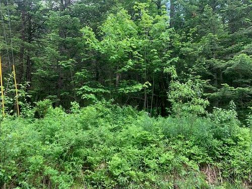 TBD Griffin, Stewartstown, NH, 03576 | Card Image