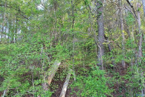 6.65 W Lacon Rd, Falkville, AL, 35622-6119 | Card Image