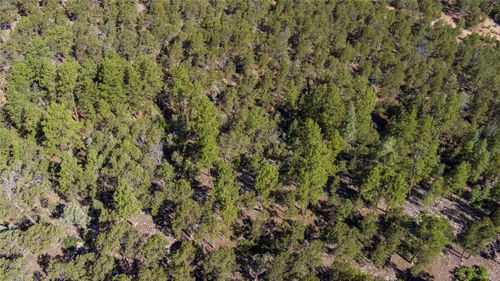 Lot 20 Dancing Hawk Drive, Pecos, NM, 87552 | Card Image