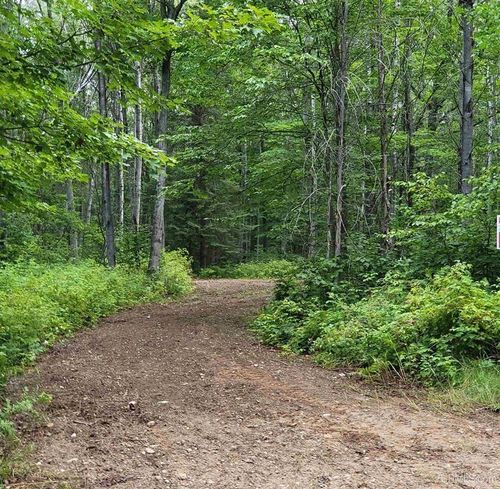 lot-2-TBD Dream Lake Rd, Long Lake, WI, 54542 | Card Image