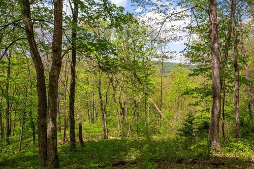 0 Church Mountain Ln, FULKS RUN, VA, 22830 | Card Image