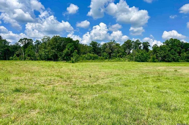 02 Carrier Rd, Home with 0 bedrooms, 0 bathrooms and null parking in Pine Grove LA | Image 8