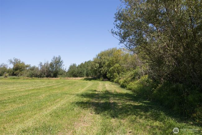 0 Buttercup Ln, Home with 0 bedrooms, 0 bathrooms and null parking in Sequim WA | Image 12