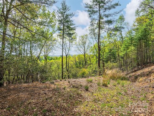 Lot #56 Winterberry Drive, Hendersonville, NC, 28739 | Card Image