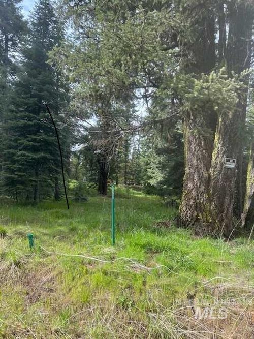 20 Andy Ln, Donnelly, ID, 83615-1009 | Card Image