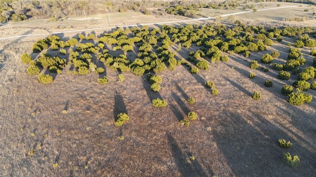 Lot 12 N Eastland, Home with 0 bedrooms, 0 bathrooms and null parking in Iredell TX | Image 9