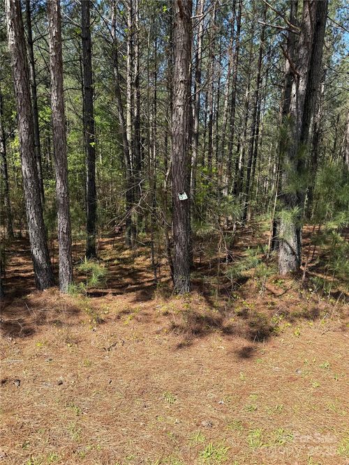 108 Whispering Pines Ln, Mooresboro, NC, 28114-0045 | Card Image
