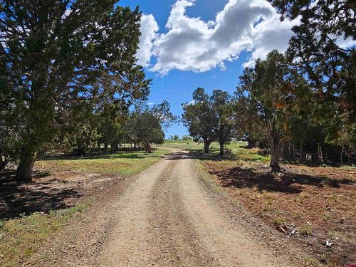 TBD Road N, Dolores, CO, 81323 | Card Image