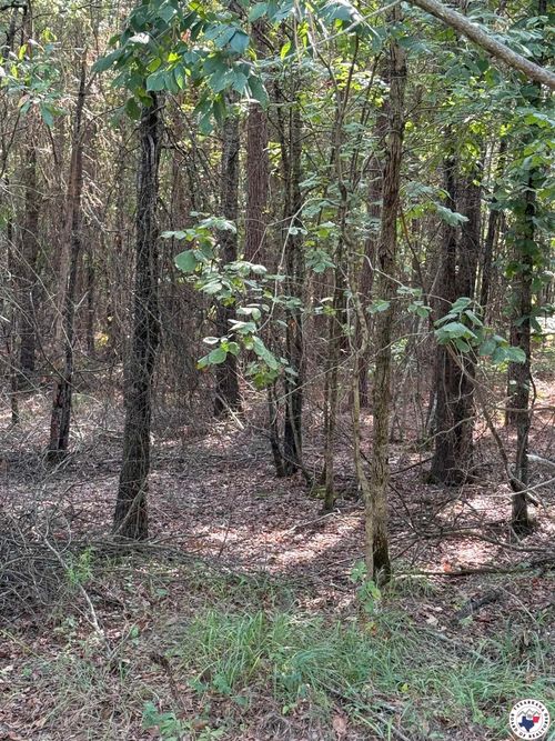TBD T 1 Pr 1064, Fouke, AR, 71837 | Card Image