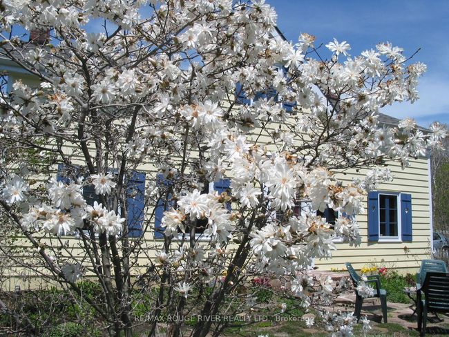 412 Barnum House Rd, House other with 2 bedrooms, 2 bathrooms and 6 parking in Grafton ON | Image 36