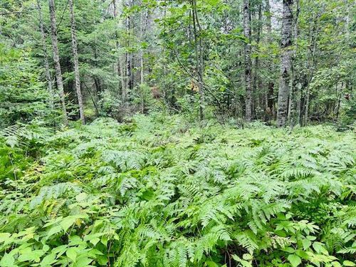 51801 Townhall Rd, Squaw Lake, MN, 56681-2026 | Card Image