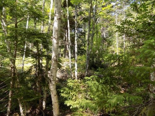 Part of 50 Sand Cove Rd, Westfield, NS, B0T1B0 | Card Image