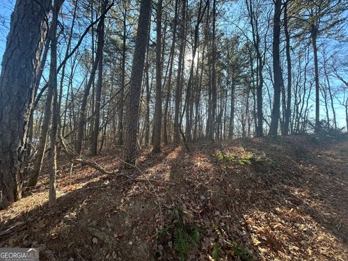 0 Highland Tree Court, Ranger, GA, 30734 | Card Image