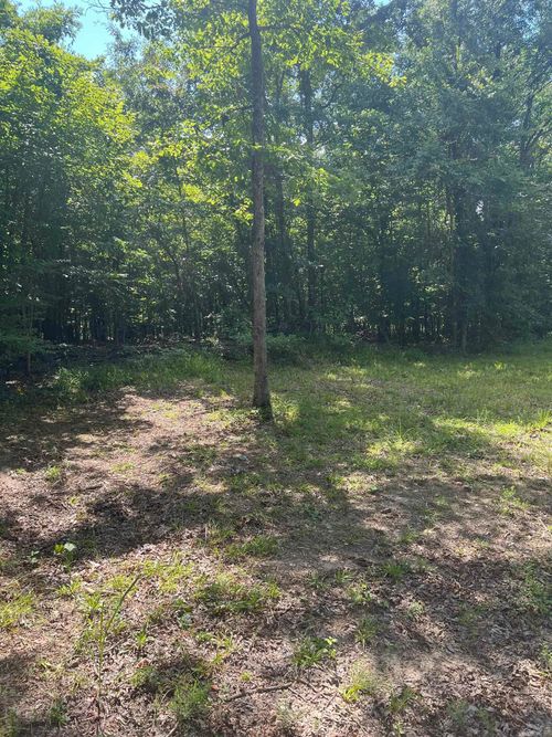 xx Peaceful Hills Dr, Bonnerdale, AR, 71933 | Card Image