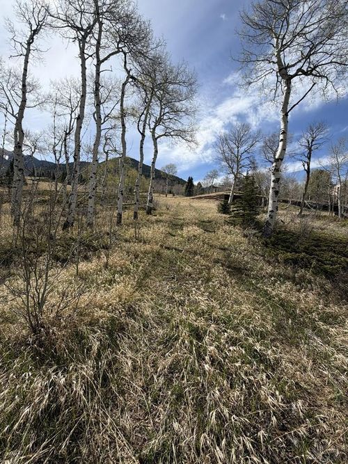 36 Baker Creek Ct, La Veta, CO, 81055-8902 | Card Image