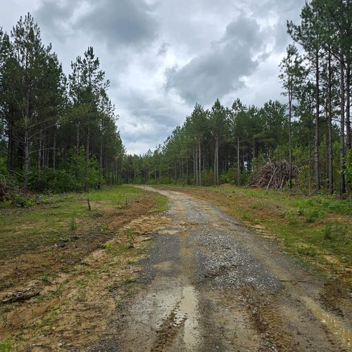 Lot 15 Holly Woods, Robbins, TN, 38562 | Card Image