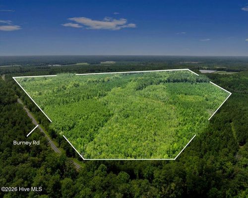 Na Burney Rd, White Oak, NC, 28399 | Card Image