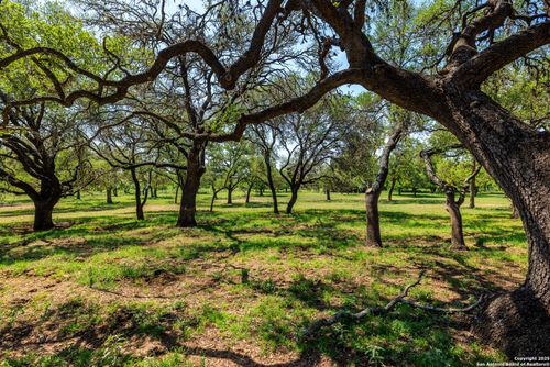 1114 Meadow Lark Dr, Fredericksburg, TX, 78624 | Card Image