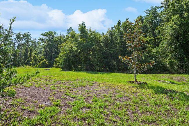 18858 Alfaro Loop, House other with 4 bedrooms, 2 bathrooms and null parking in SPRING HILL FL | Image 32