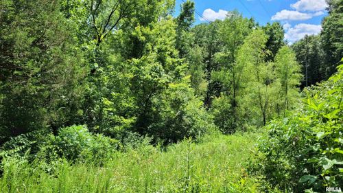 0003 TBD Cross Creek Road, Cobden, IL, 62920 | Card Image