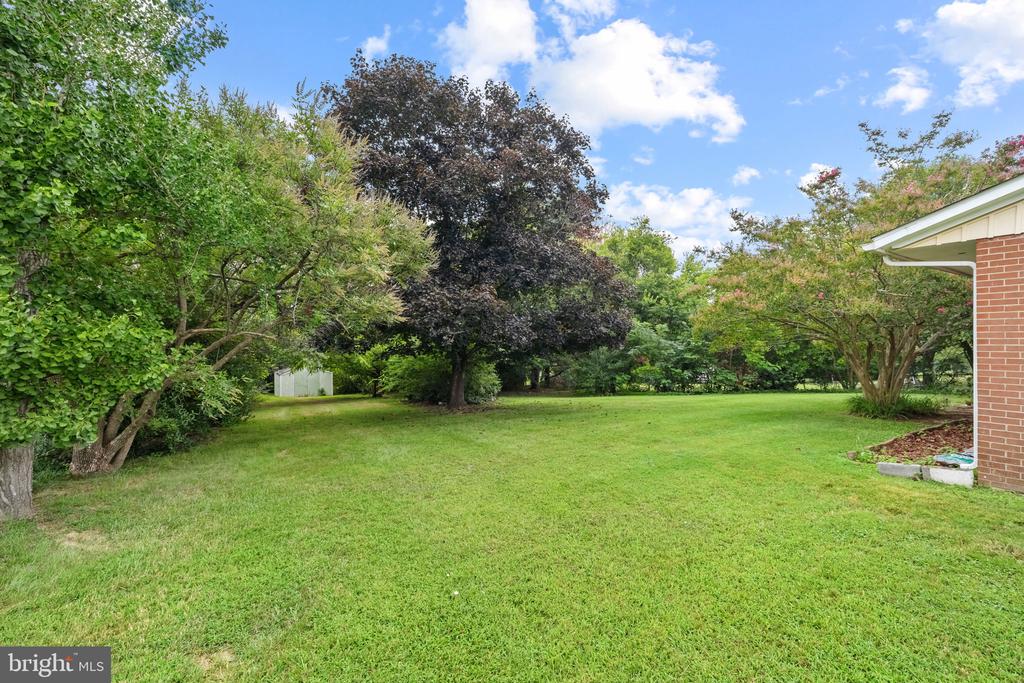 Residential in FREDERICKSBURG 5