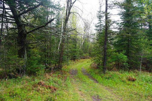 20 Acres S County Road X, Gleason, WI, 54435 | Card Image
