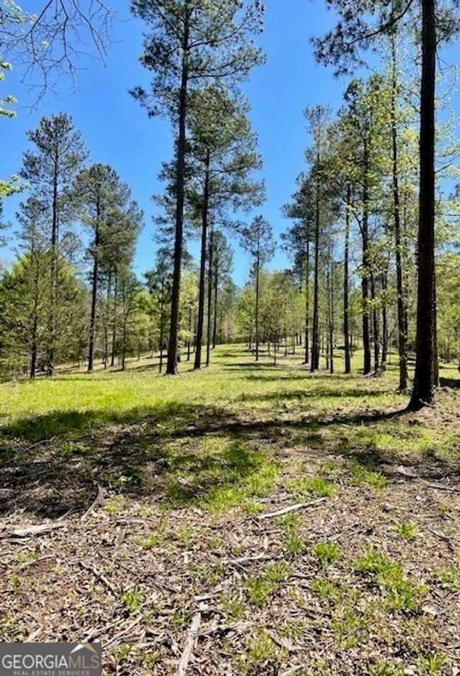 1276 Hornets Bridge Rd, Home with 0 bedrooms, 0 bathrooms and null parking in Elberton GA | Image 24