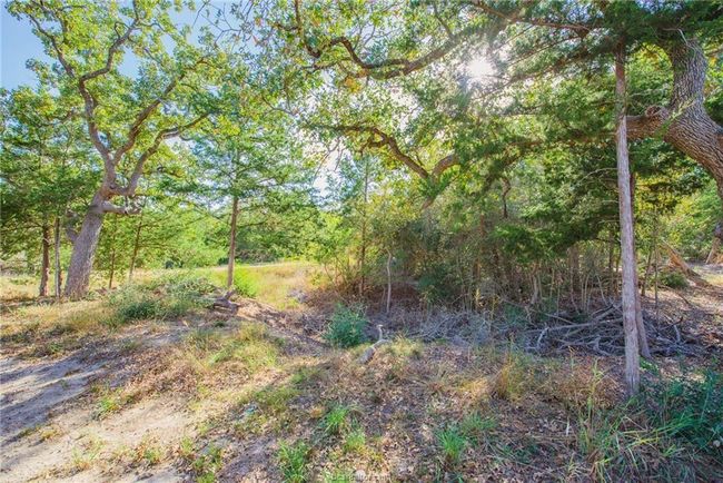551 Boysenberry Rd, House other with 3 bedrooms, 2 bathrooms and null parking in Somerville TX | Image 30