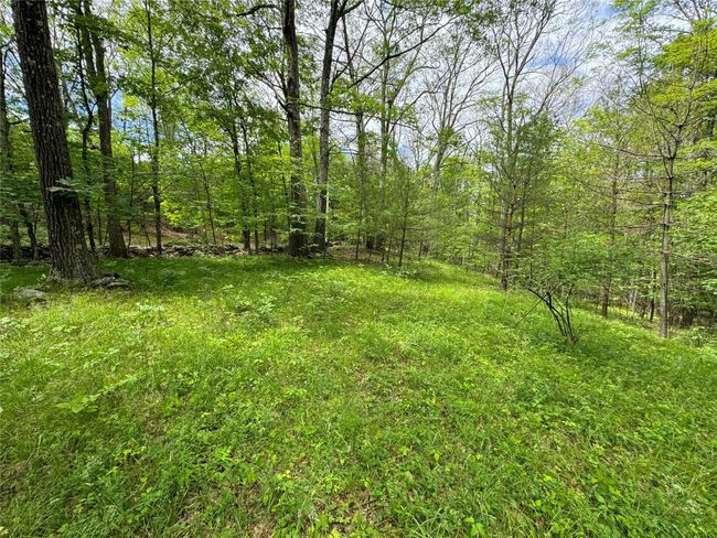 View of yard with a wooded view | Image 5