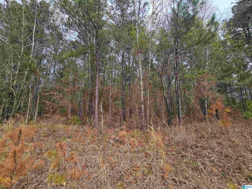 45-352 Hunters Crossing Rd, ODENVILLE, AL, 35120-5887 | Card Image