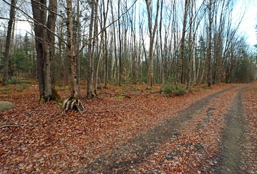  State Garage Road, Milan, NH, 03588 | Card Image