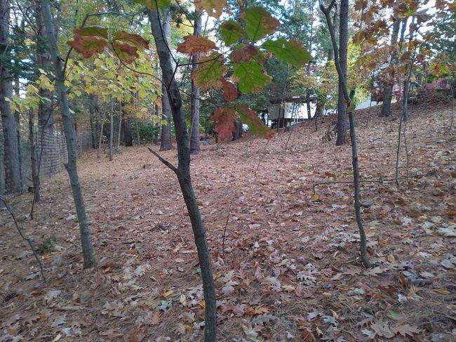 15 Coleridge Rd, House other with 4 bedrooms, 3 bathrooms and null parking in Nashua NH | Image 50