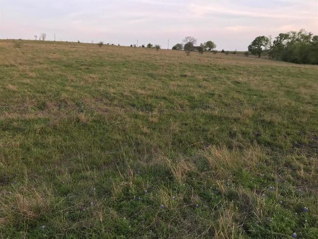 5796 Hurtig Rd, Home with 0 bedrooms, 0 bathrooms and null parking in Bleiblerville TX | Image 16