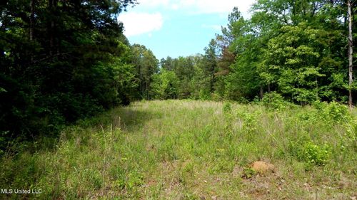 1079 Saulsbury Road, Falkner, MS, 38629 | Card Image