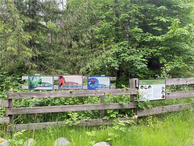 nearby trail next to stream | Image 59