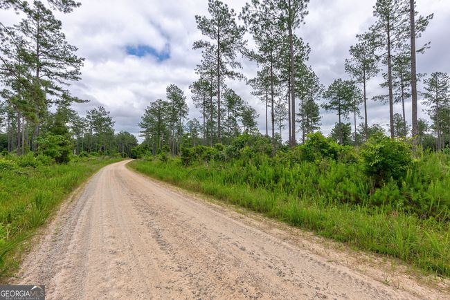 2 MCWHORTER Mcwhorter Rd, Home with 0 bedrooms, 0 bathrooms and null parking in Stephens GA | Image 5