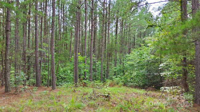 17 - 00 Sunset Dr, Home with 0 bedrooms, 0 bathrooms and null parking in Mill Spring NC | Image 6