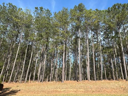 LOT 65 Maiden Cane Way, Lincolnton, GA, 30817 | Card Image