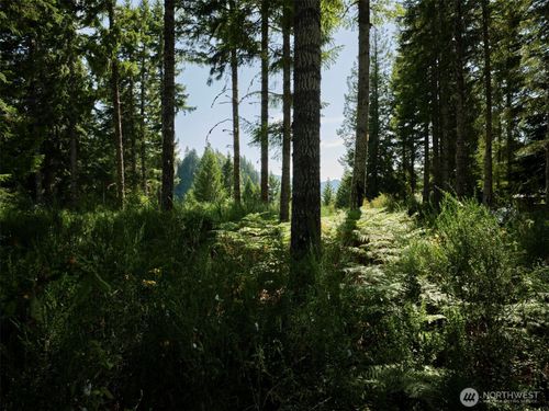 0 Phyllis Ann Block Court, Cougar, WA, 98616 | Card Image