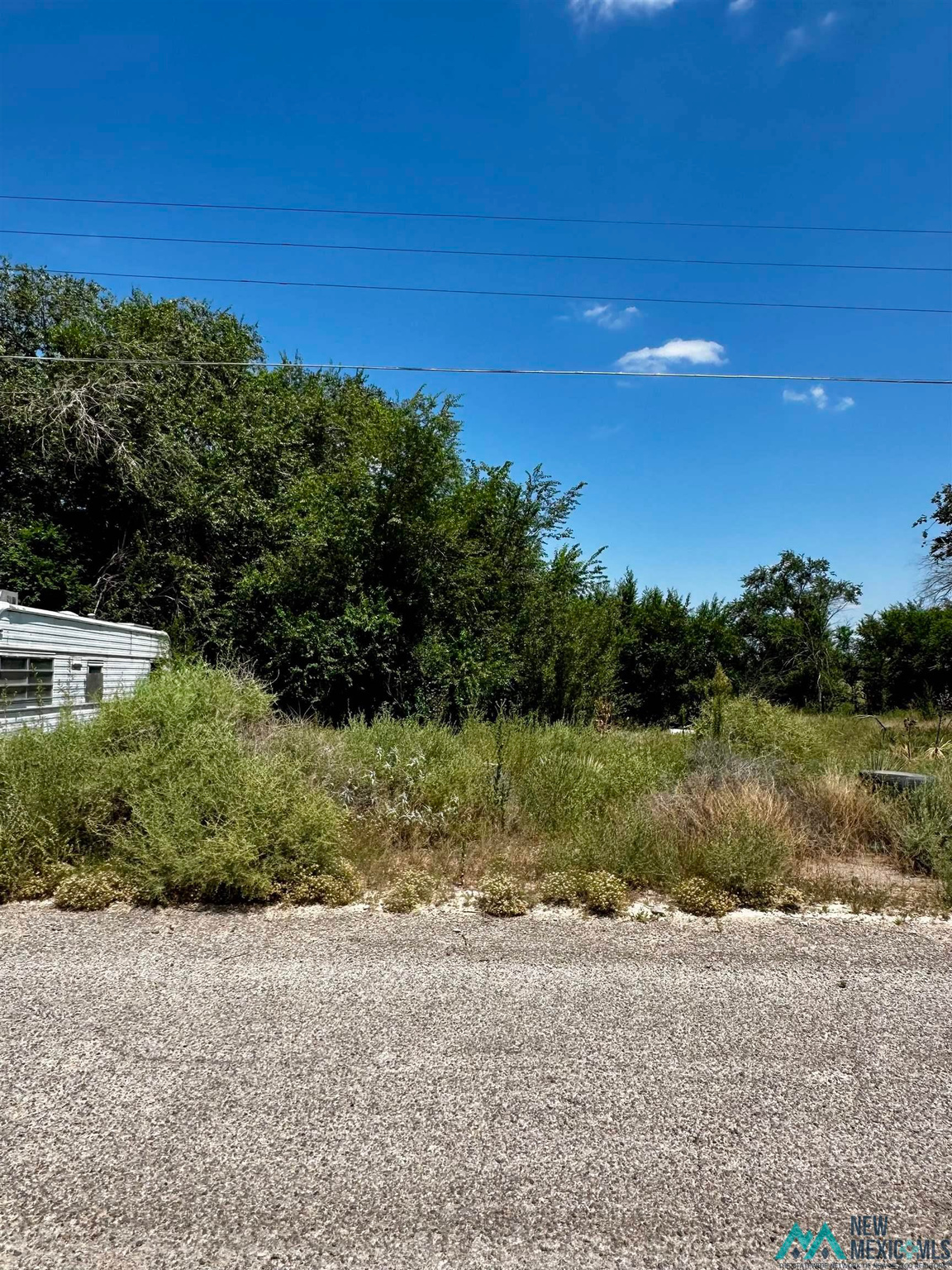 Land in Dexter