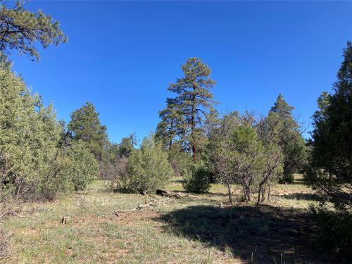 TBD Rim Drive Lots 70 & 71, Rutheron, NM, 87551 | Card Image